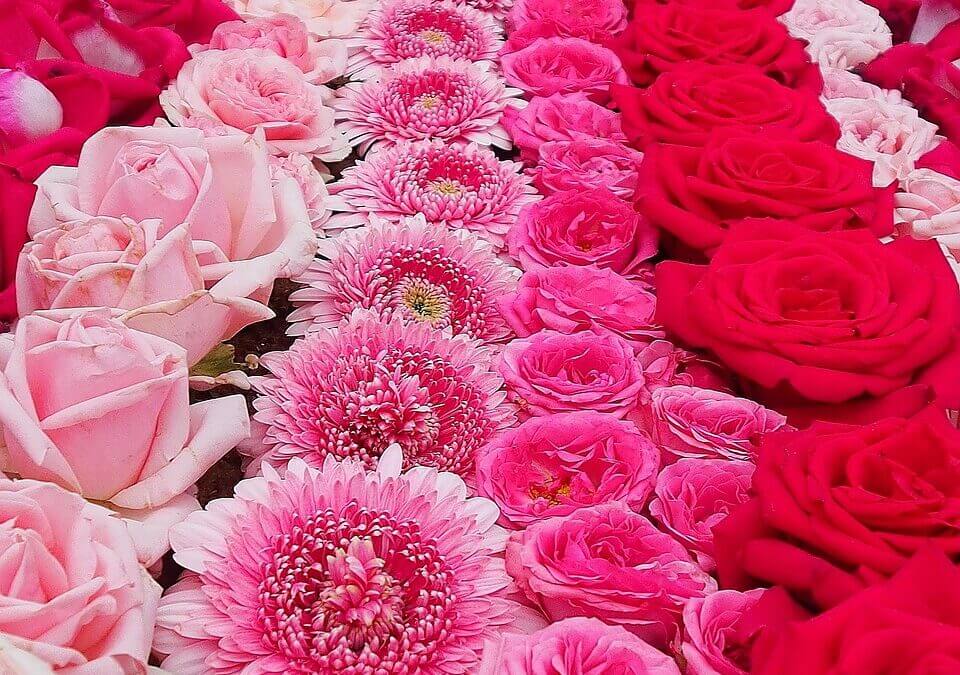 Unlocking the Wisdom of Akashic Record Reading